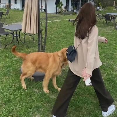 腥风怒吼3